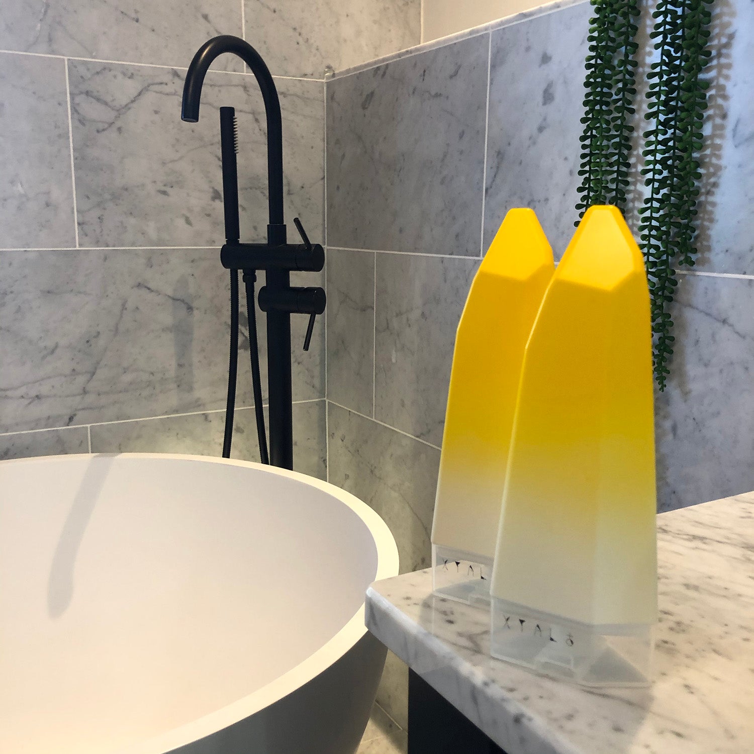 AMBER SHAMPOO